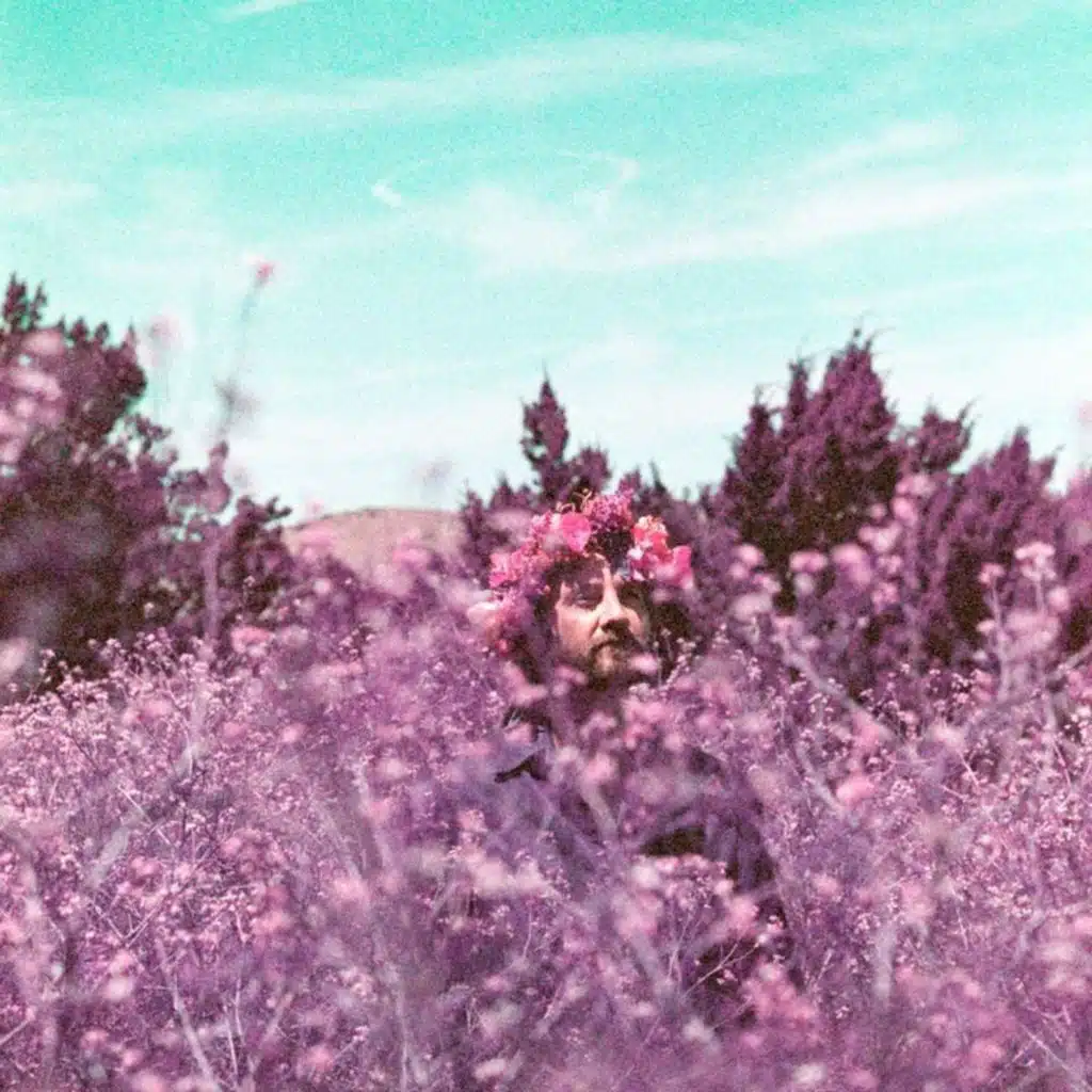 artist-header-image