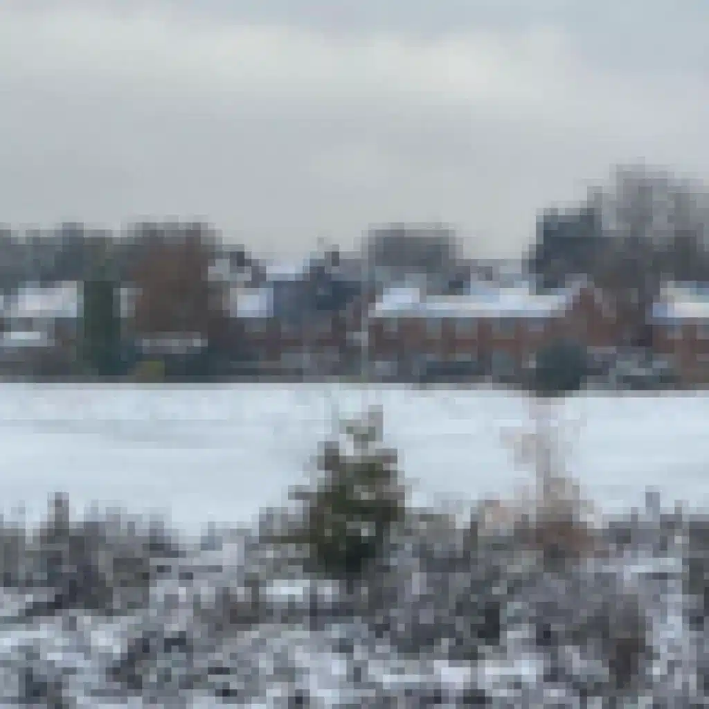 header-image