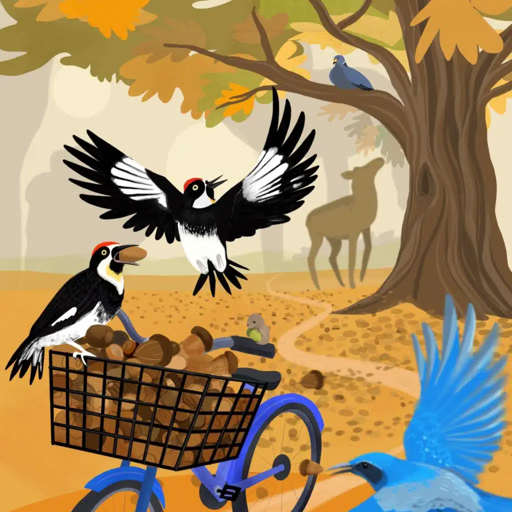 episode-header-image