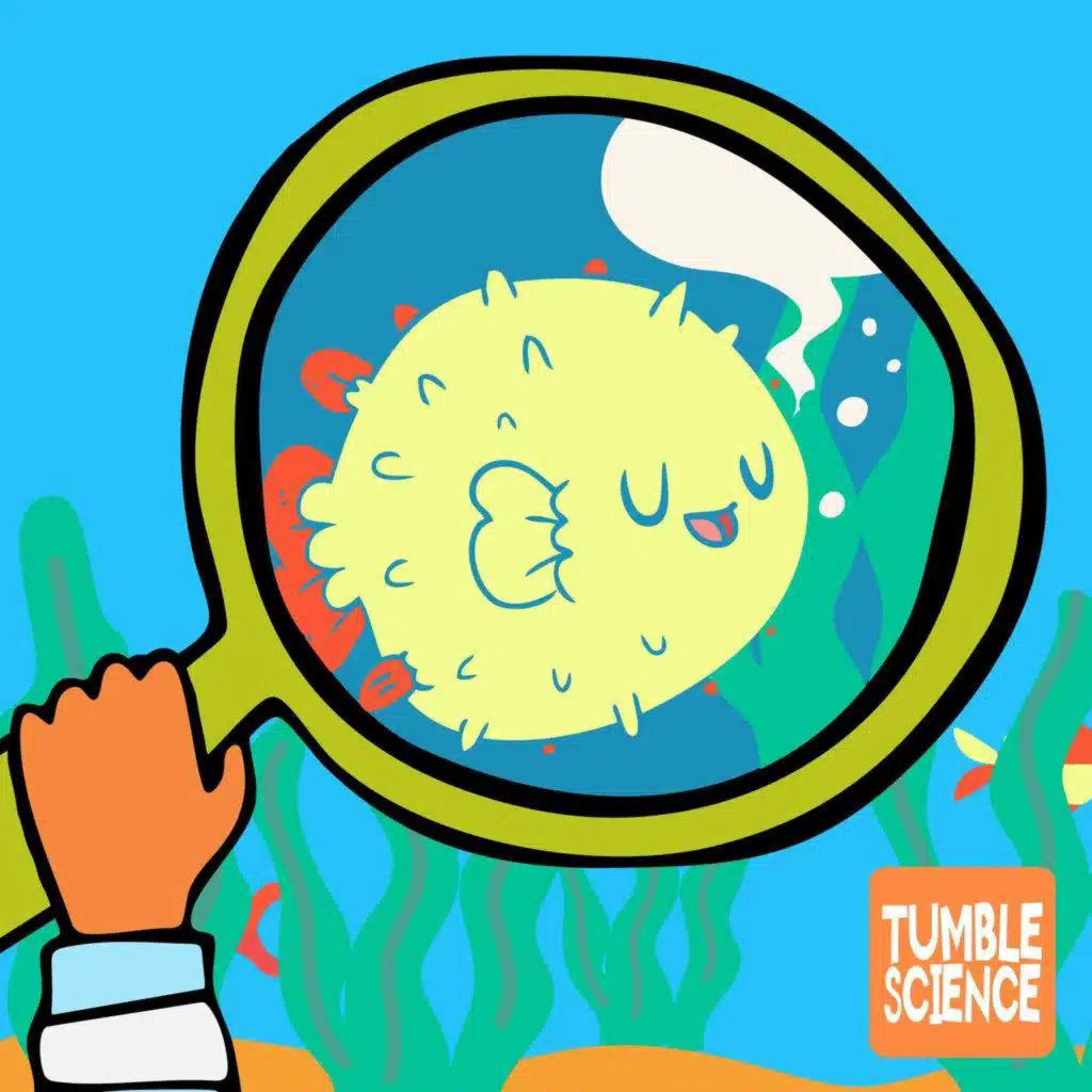 episode-header-image