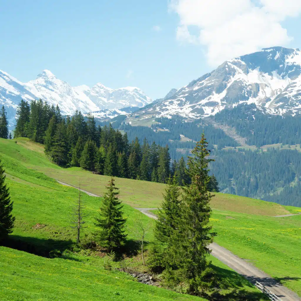 episode-header-image