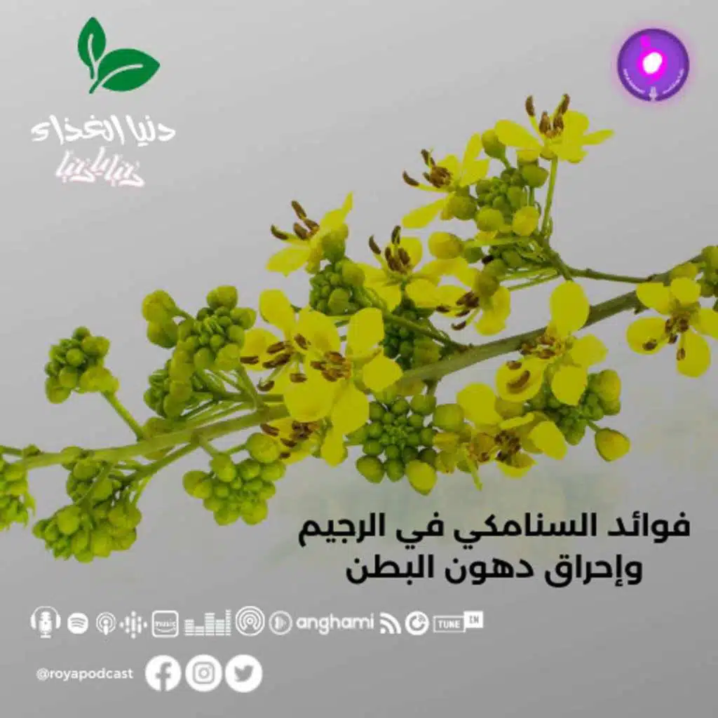 episode-header-image