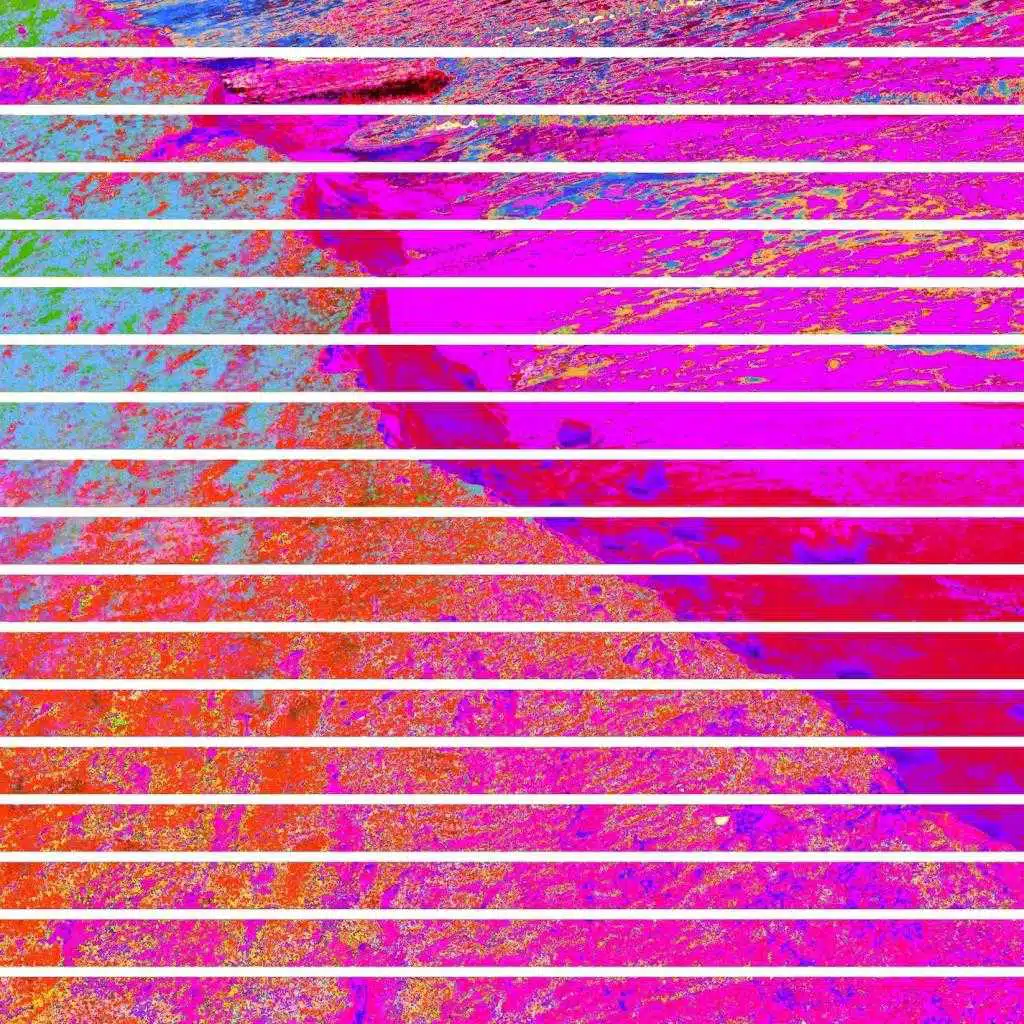 artist-header-image
