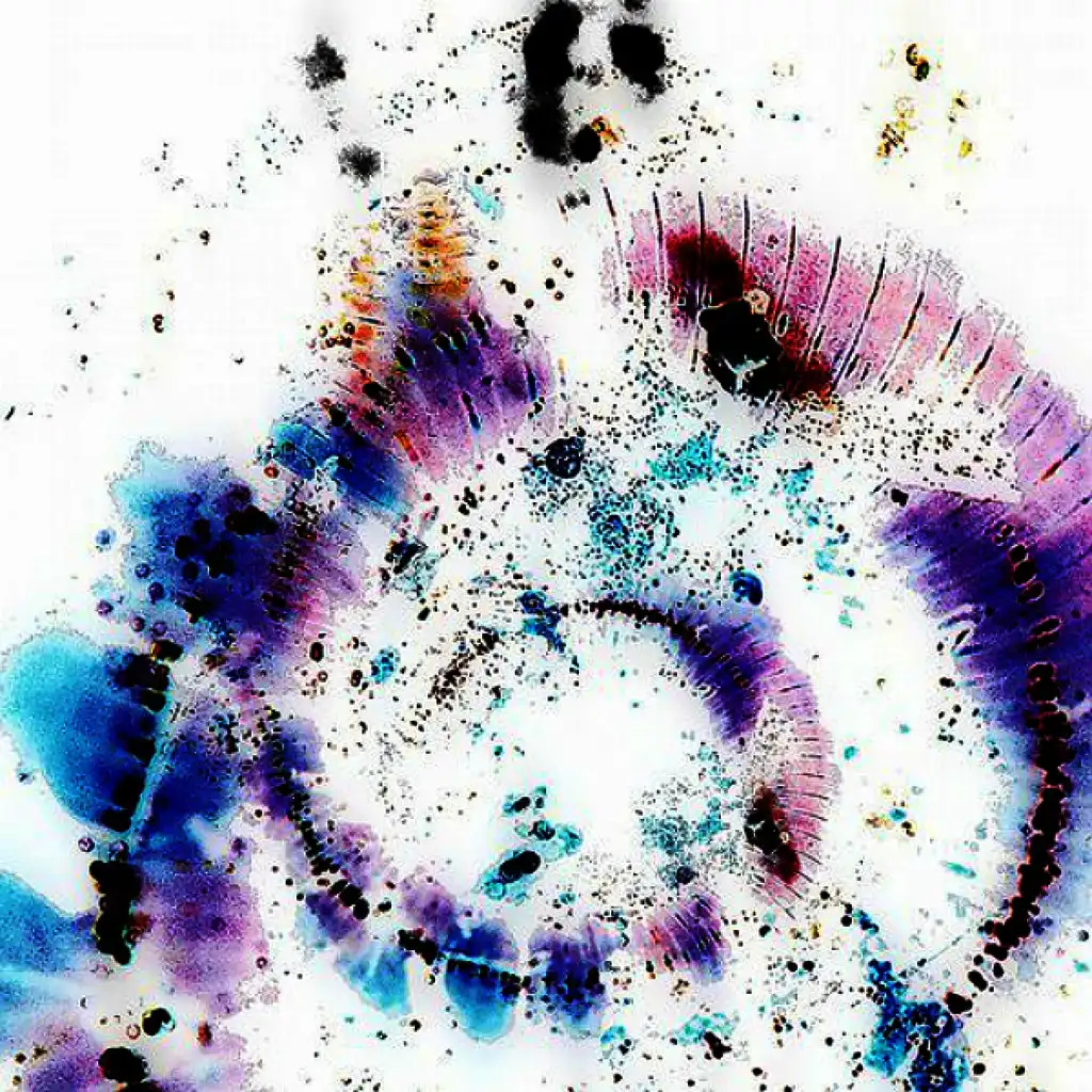artist-header-image