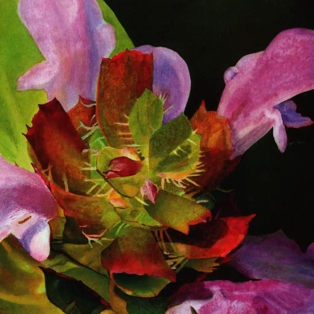 artist-header-image