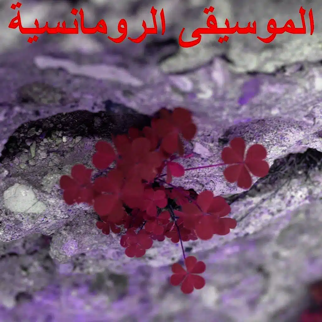 artist-header-image