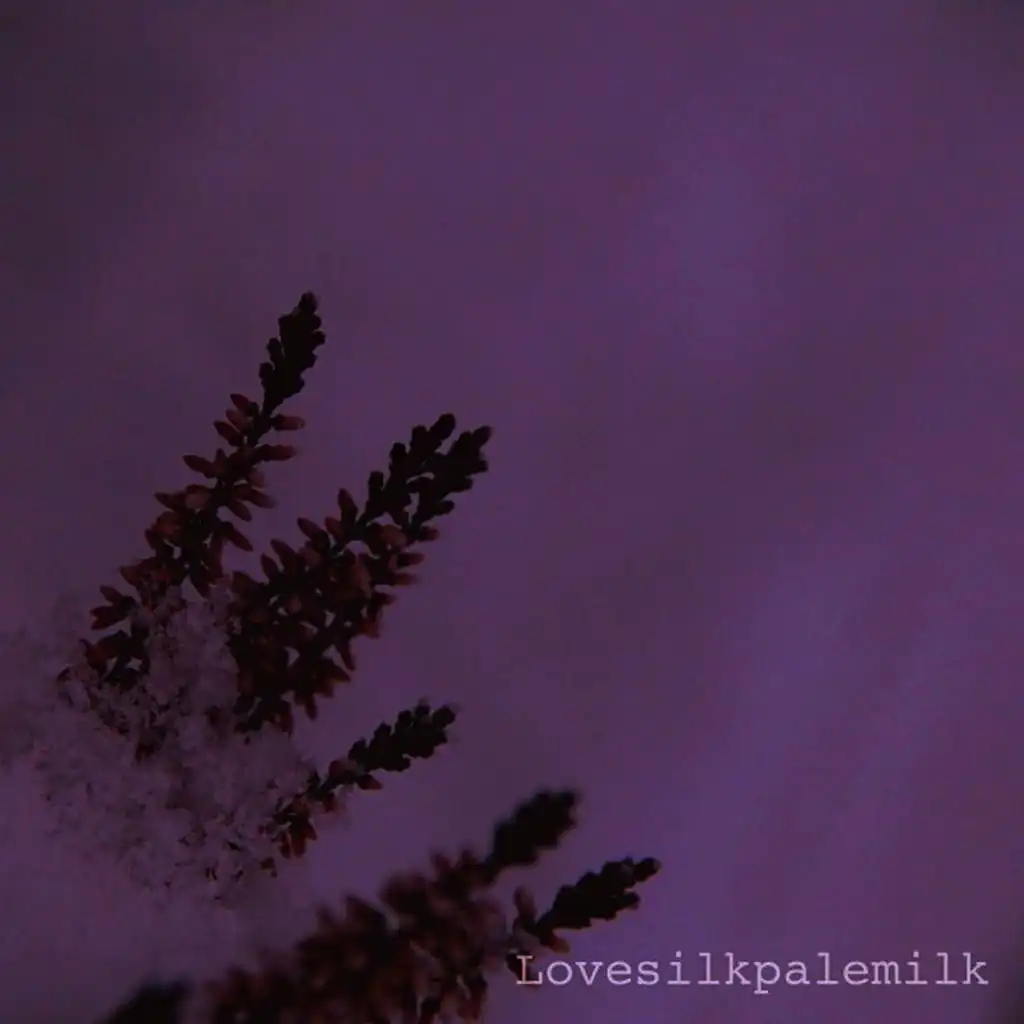 artist-header-image