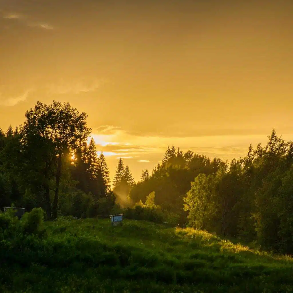 header-image