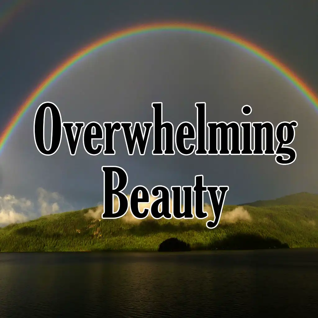 artist-header-image