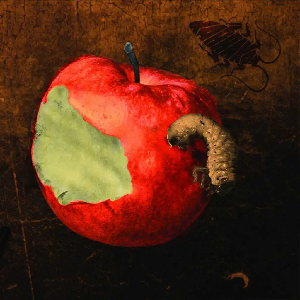artist-header-image