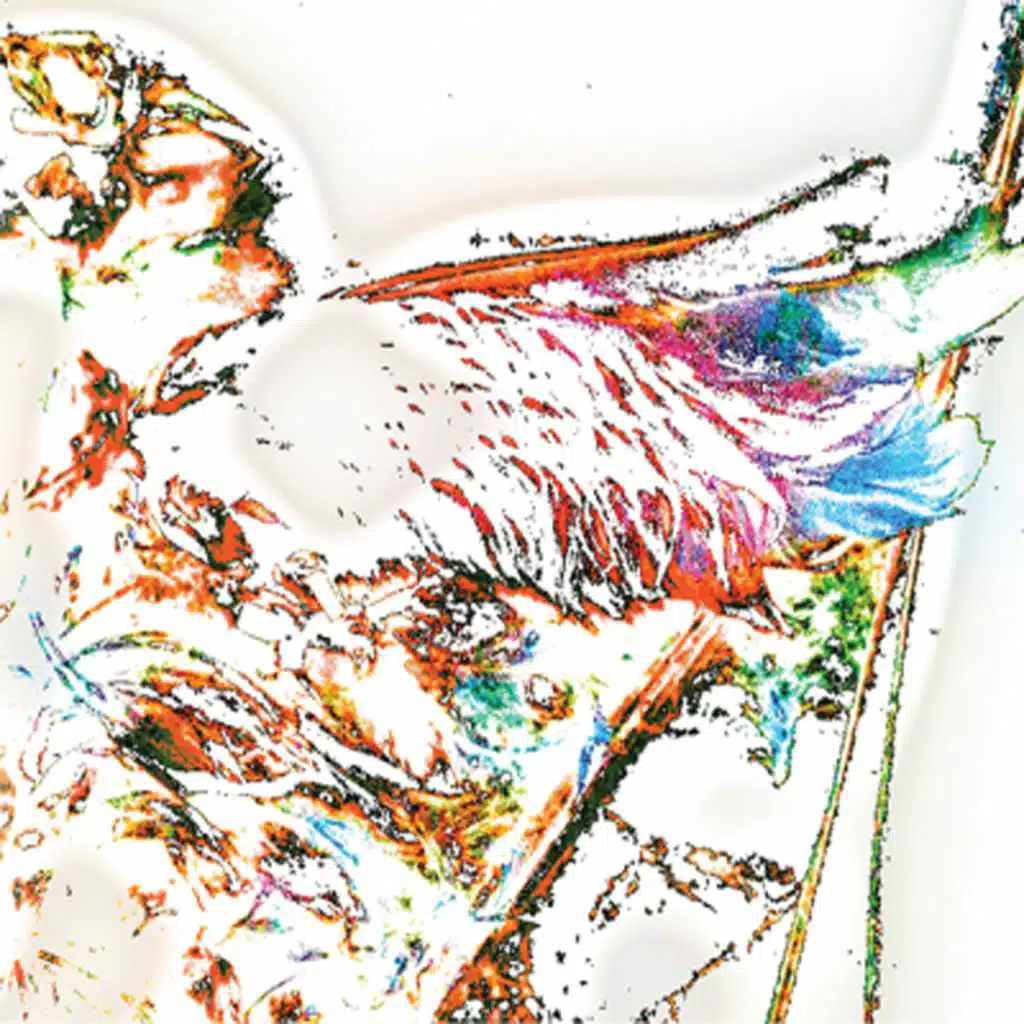 artist-header-image