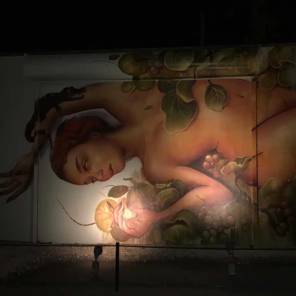 header-image