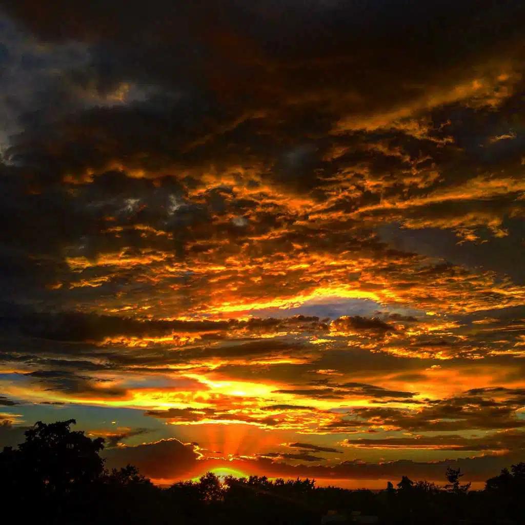 header-image