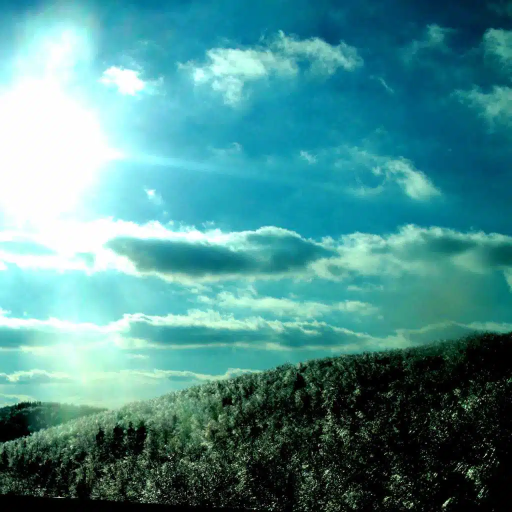 header-image