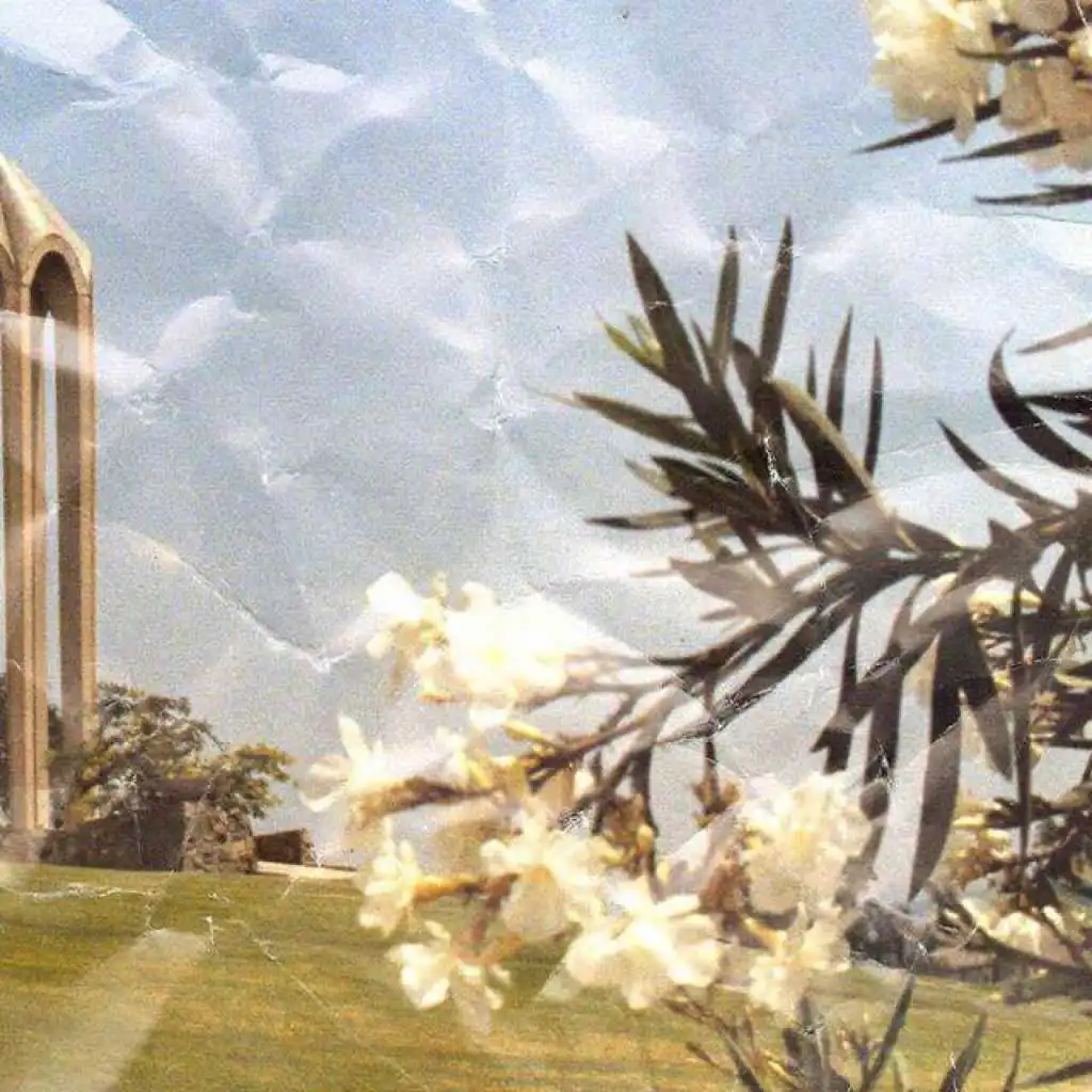 header-image