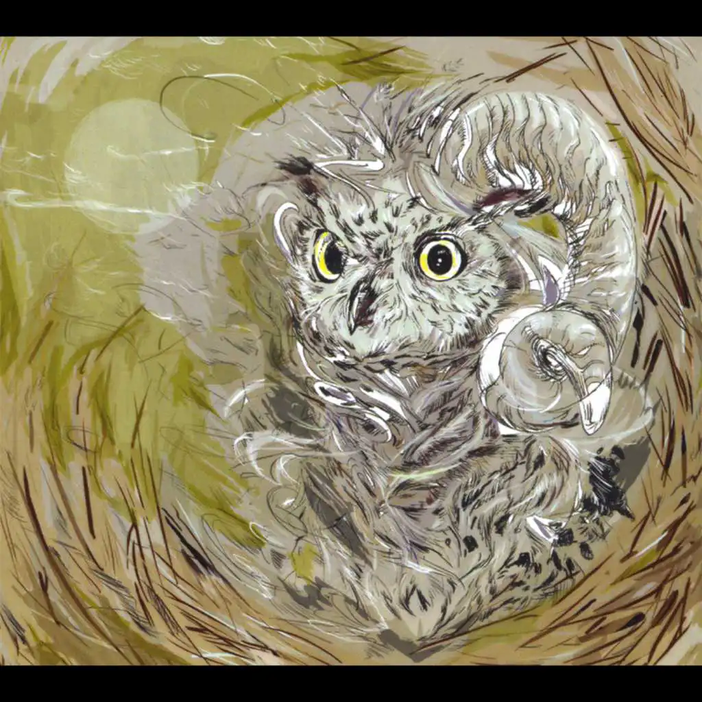 artist-header-image