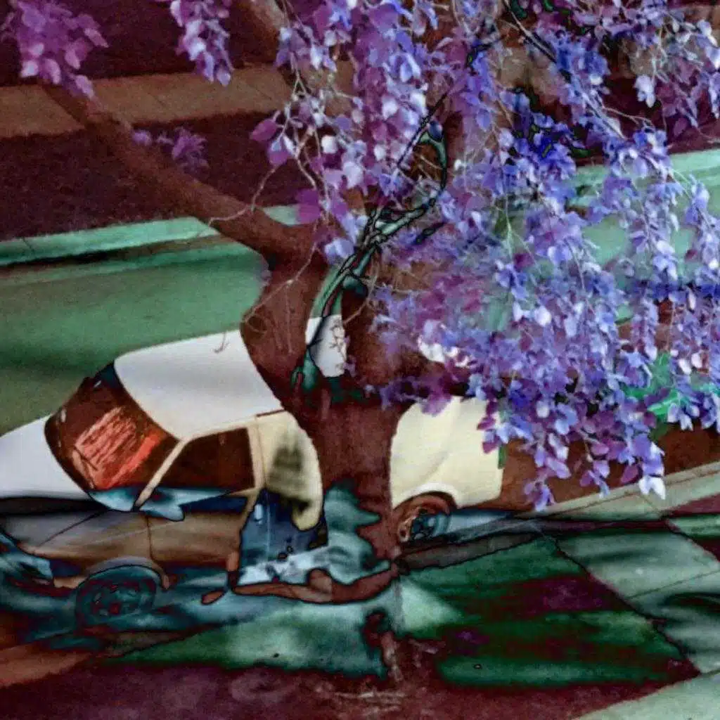 header-image