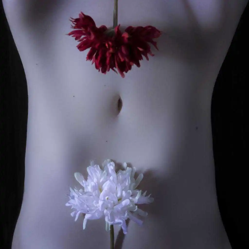 artist-header-image