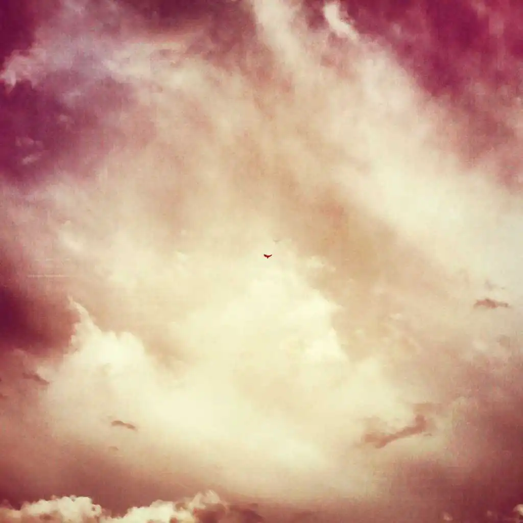 artist-header-image