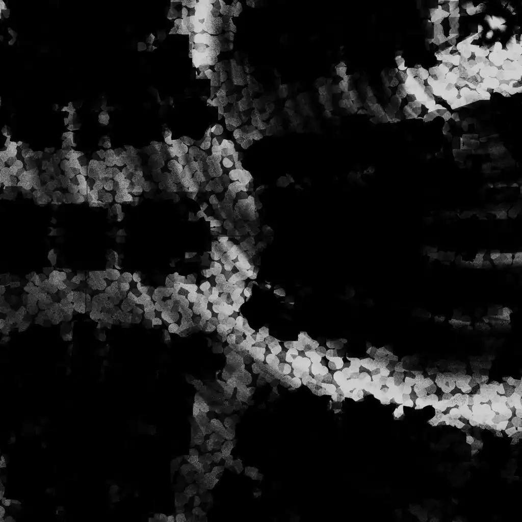 artist-header-image