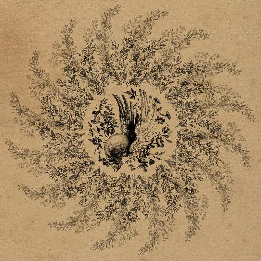 artist-header-image