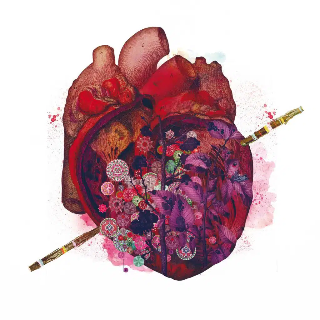 header-image