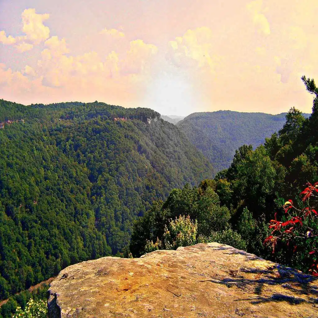 artist-header-image