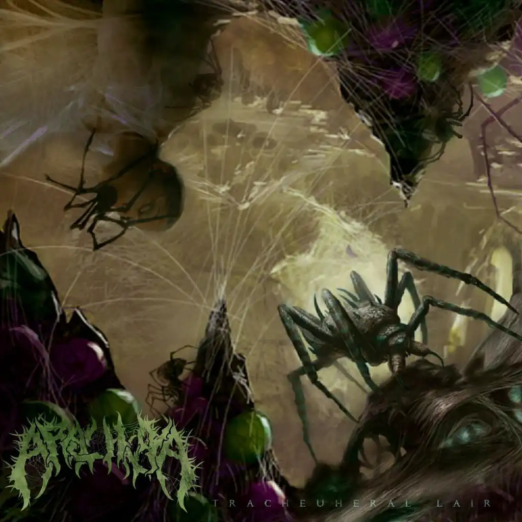 artist-header-image