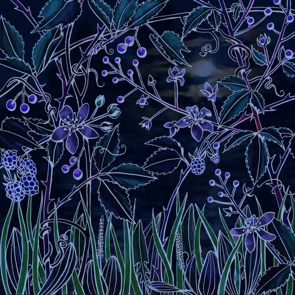artist-header-image