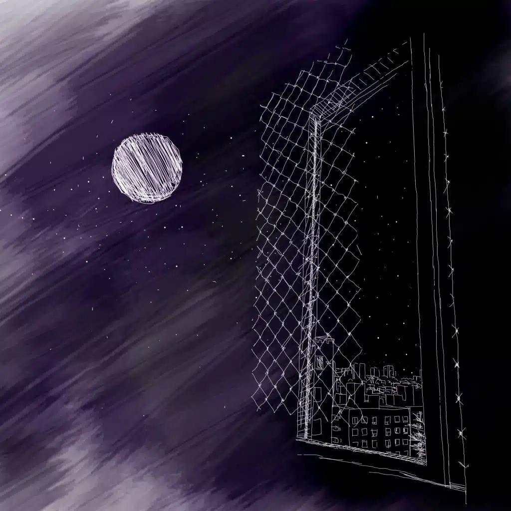header-image