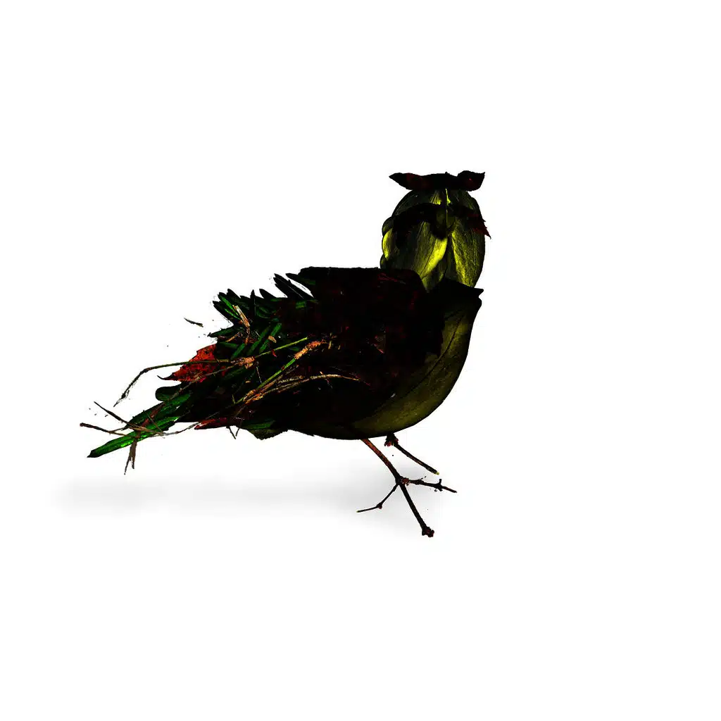 artist-header-image