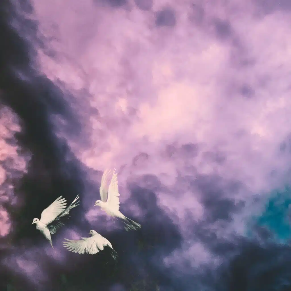 header-image