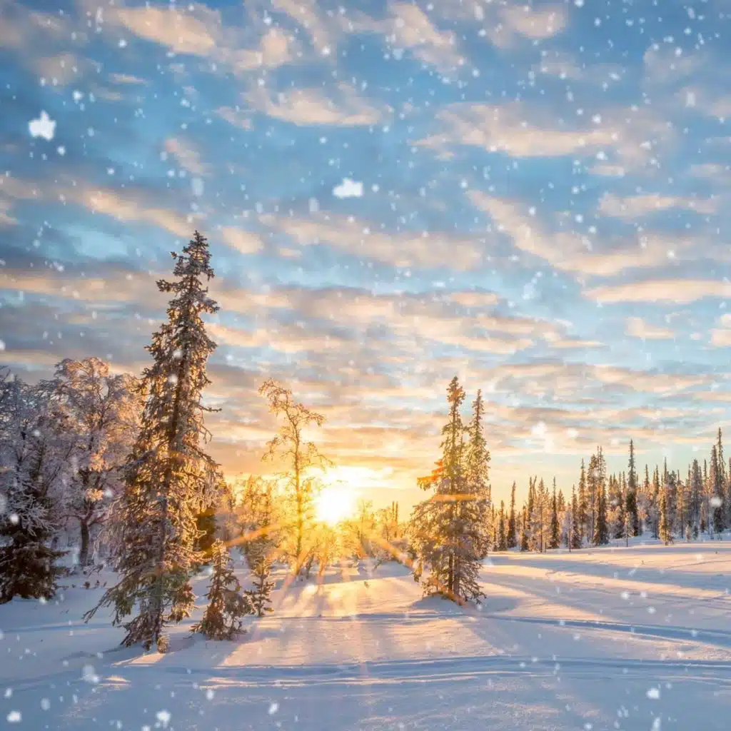 header-image