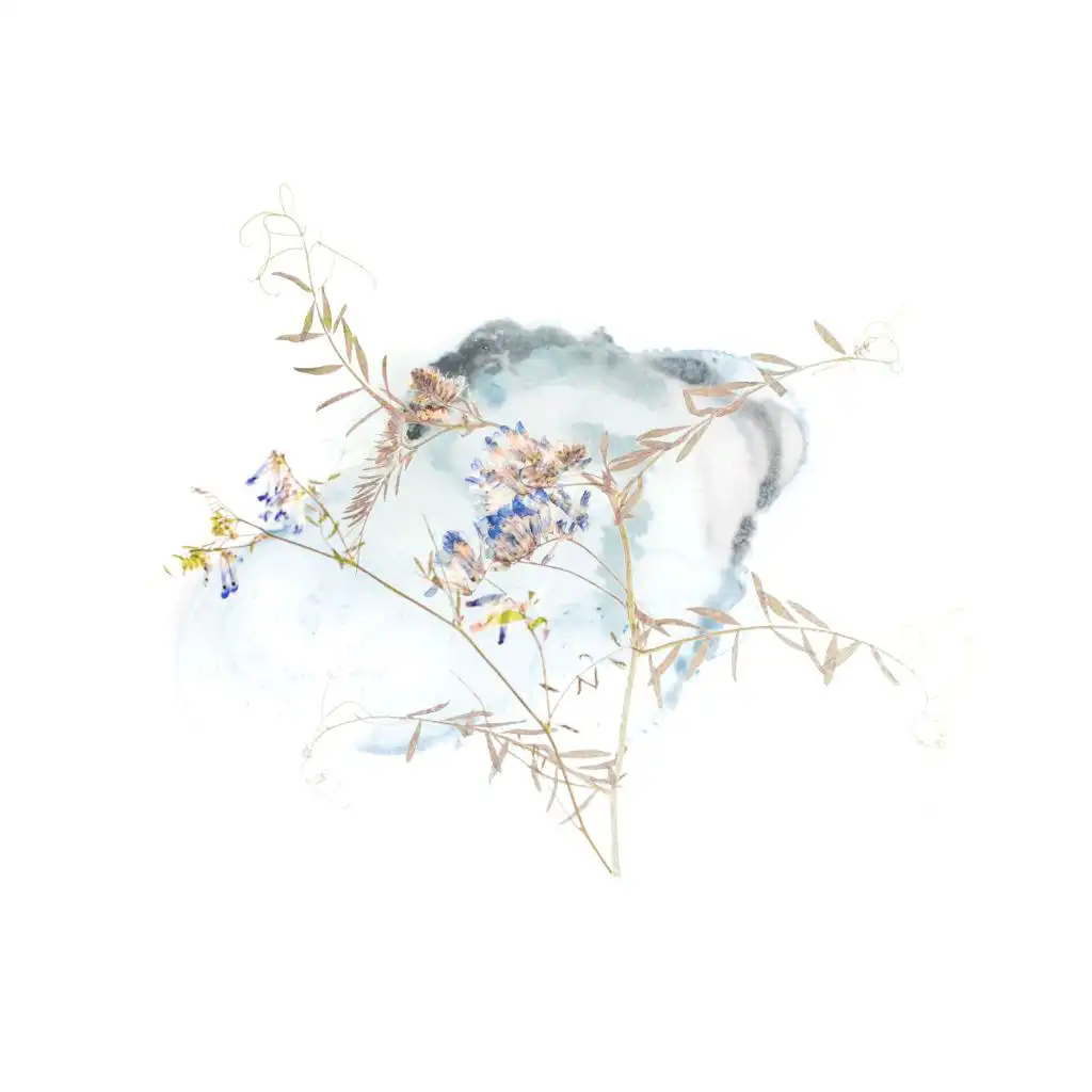 artist-header-image