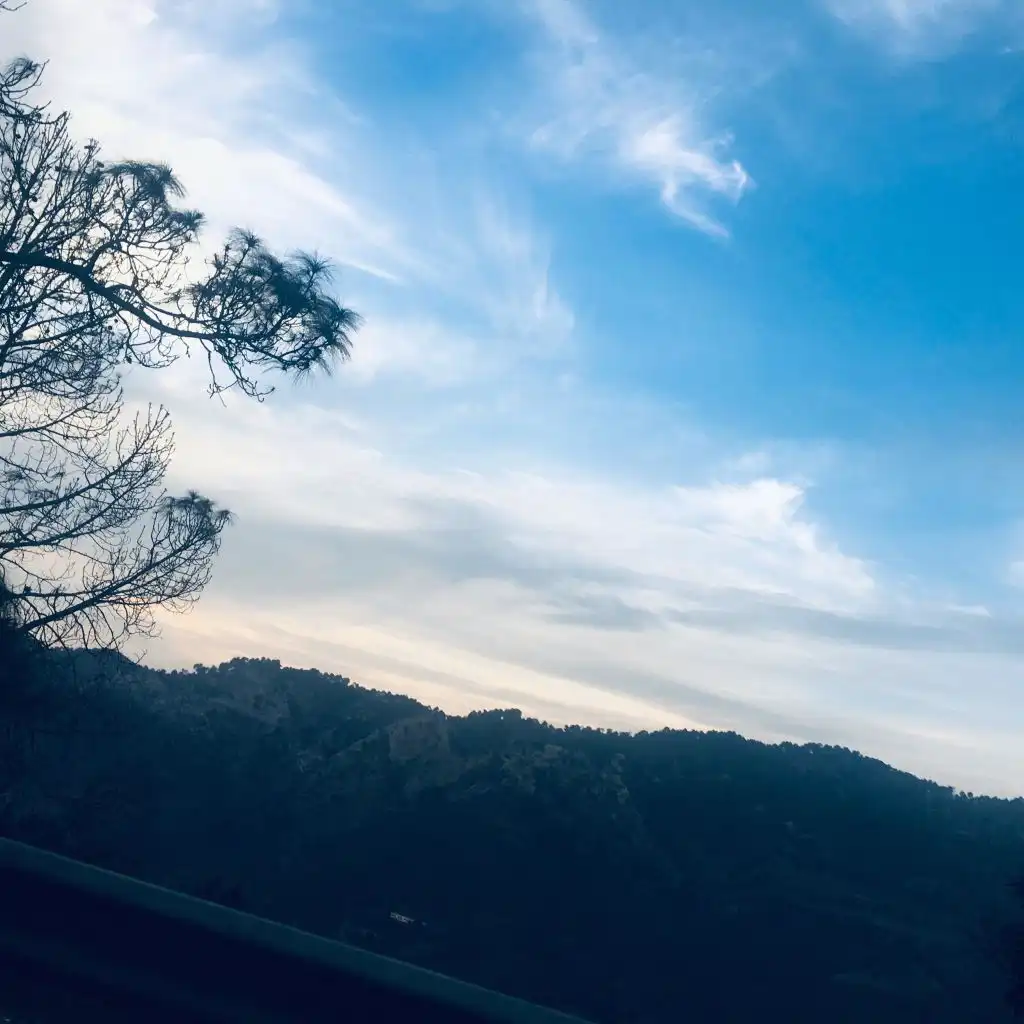 header-image