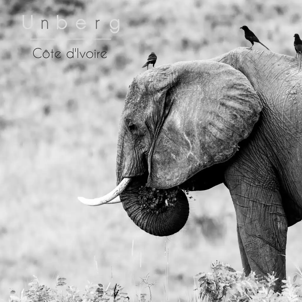 artist-header-image