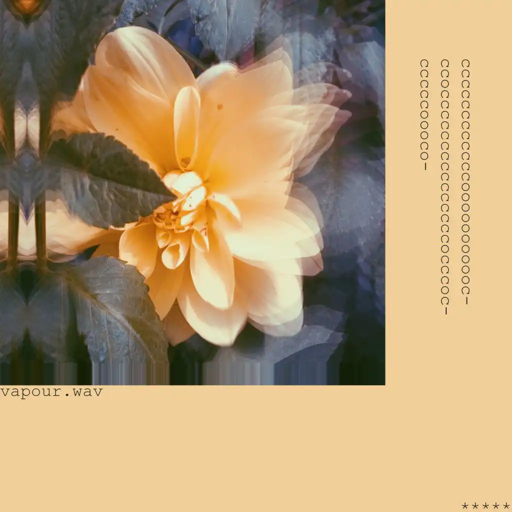 artist-header-image