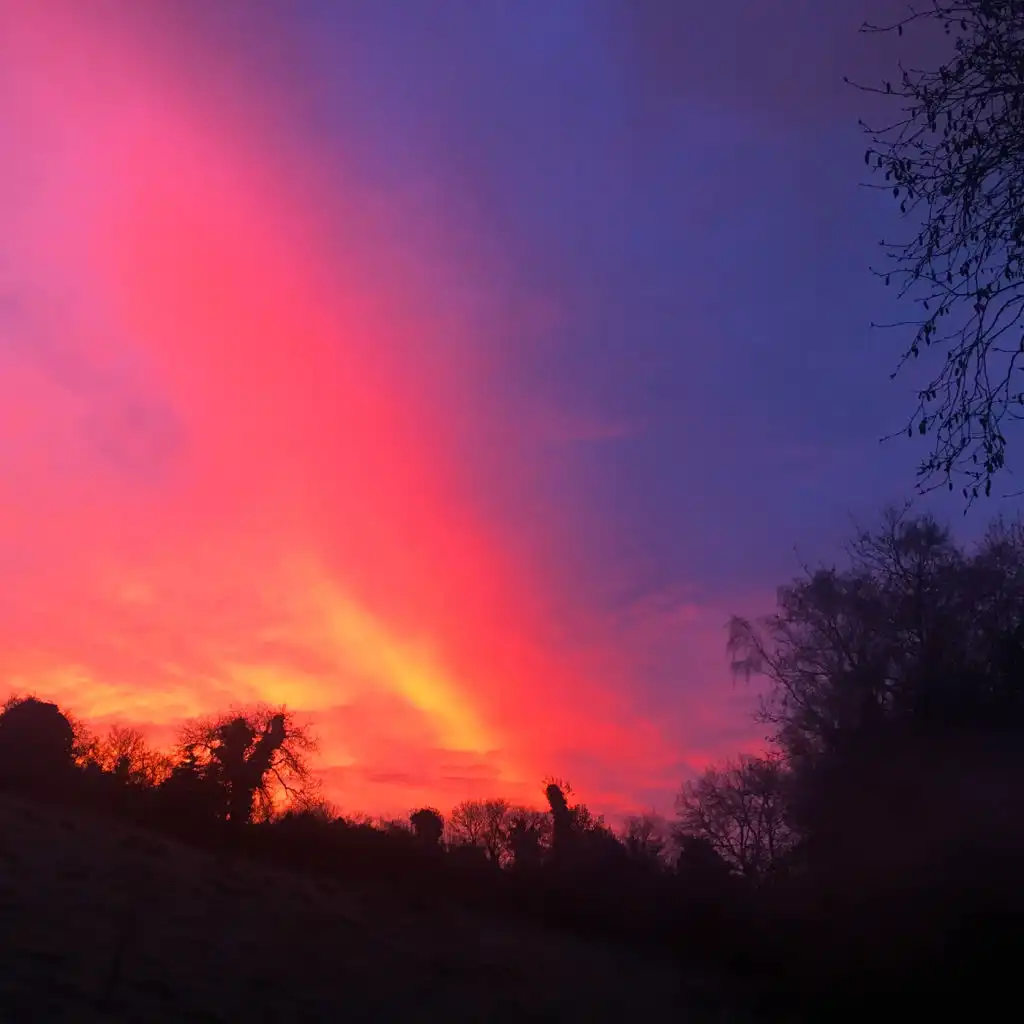 header-image