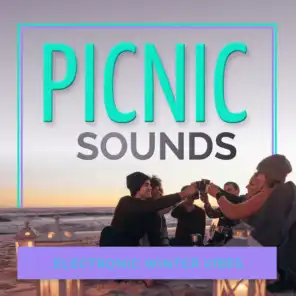 Picnic Sounds - Electronic Winter Vibes