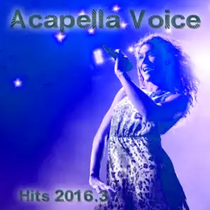 Acapella Voice Hits 2016.3