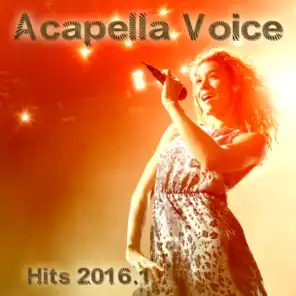 Acapella Voice Hits 2016.1