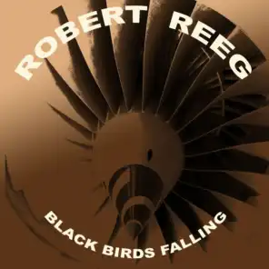 Black Birds Falling