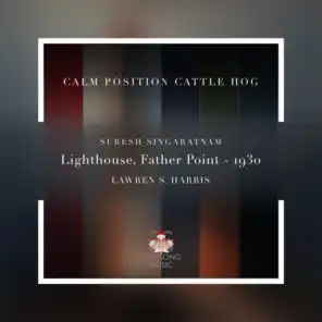 Calm Position Cattle Hog
