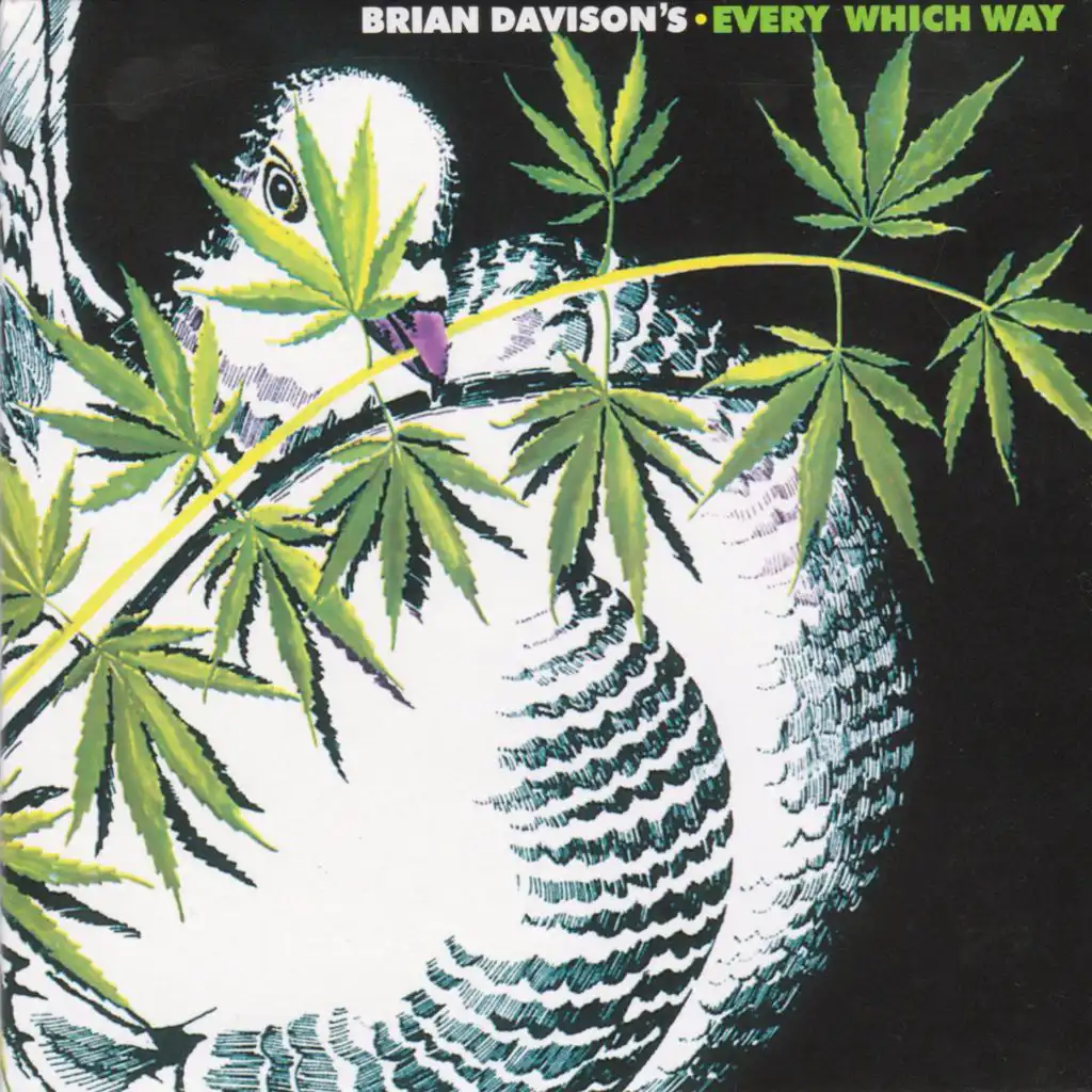 Brian Davison's Every Which Way