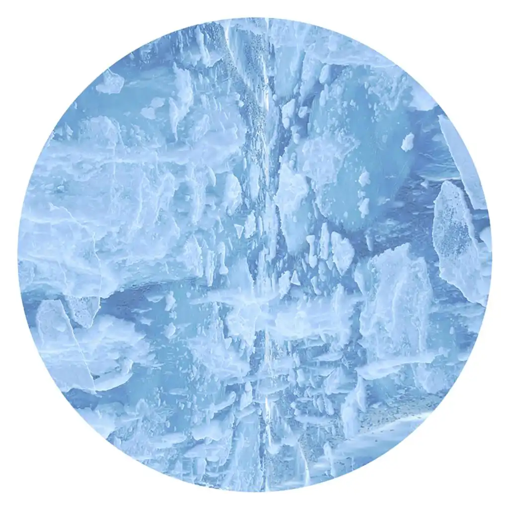 Cleopold & Lenka & Animal Feelings