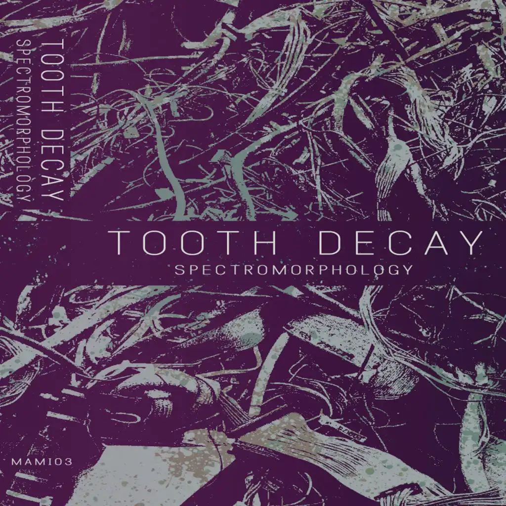 Tooth Decay