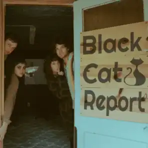 Black Cat Report