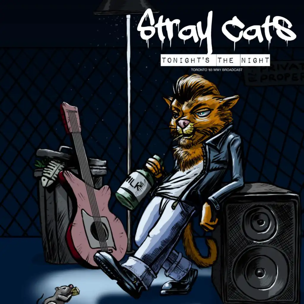 Stray Cats