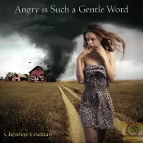 Angry Is Such a Gentle Word (feat. Cee McDee & Vivor)