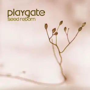 Playgate